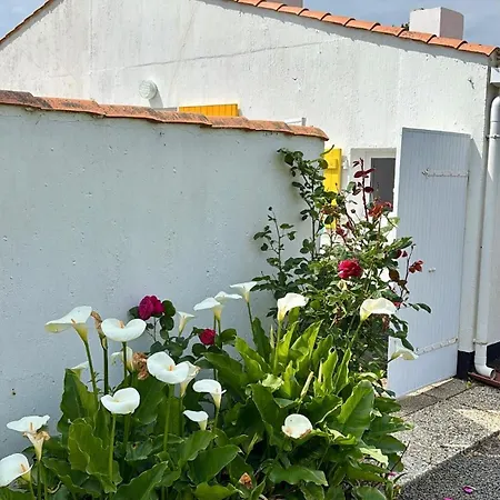 Nouvelle Location Maison Casa de Férias *